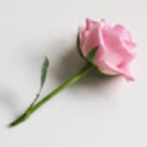 Meet your Posher, Gloria